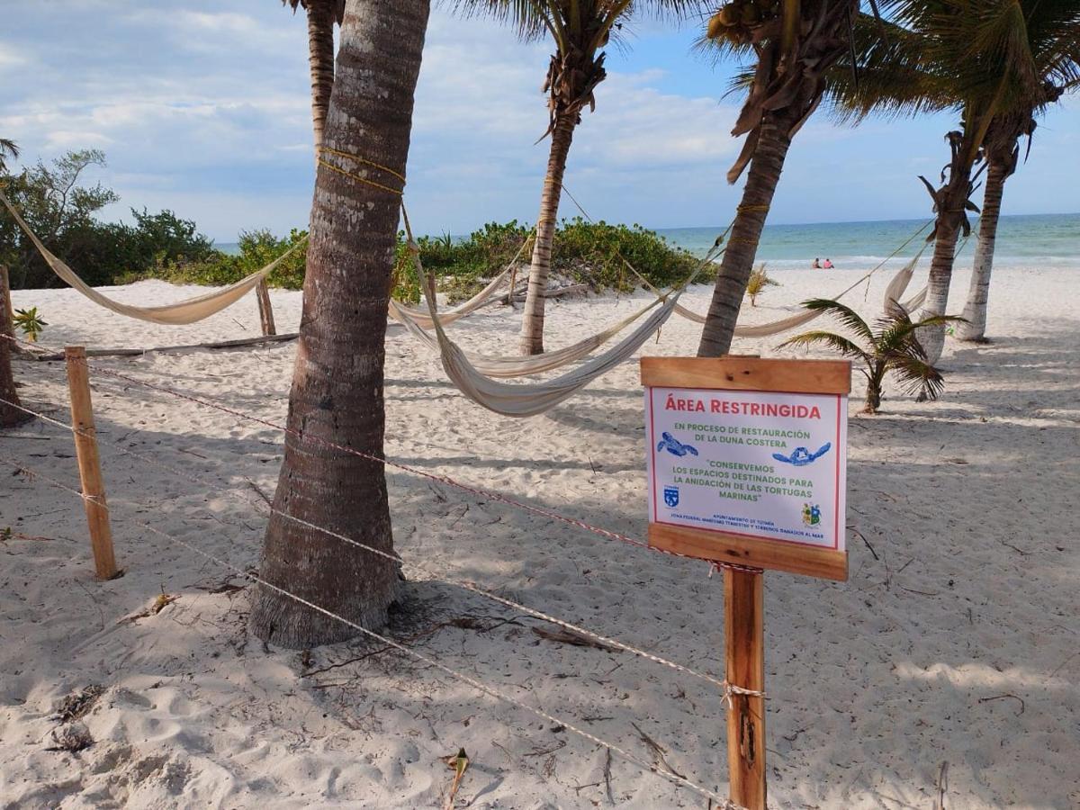 Casa Mate Beachfront Cabanas El Cuyo Εξωτερικό φωτογραφία